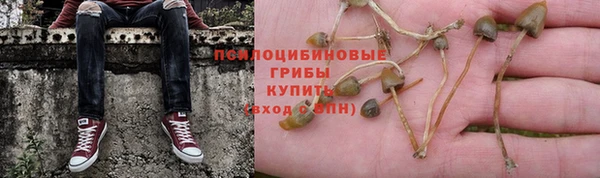 бошки Баксан