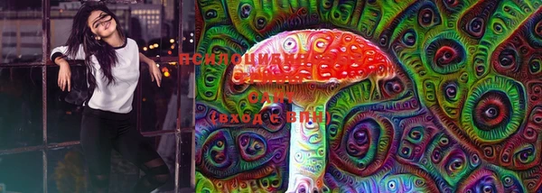 прущие крисы Балахна