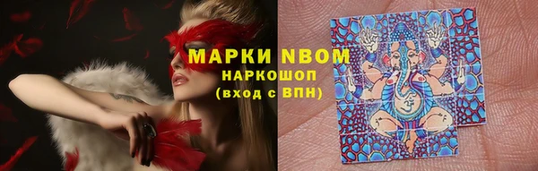 прущие крисы Балахна